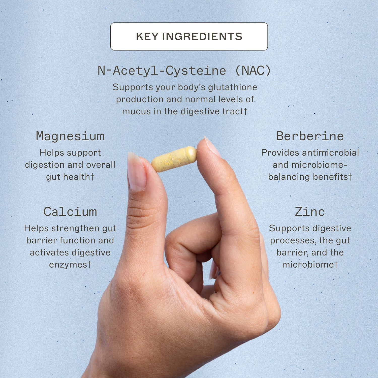 Microb-Clear? - Microbiome Supplement