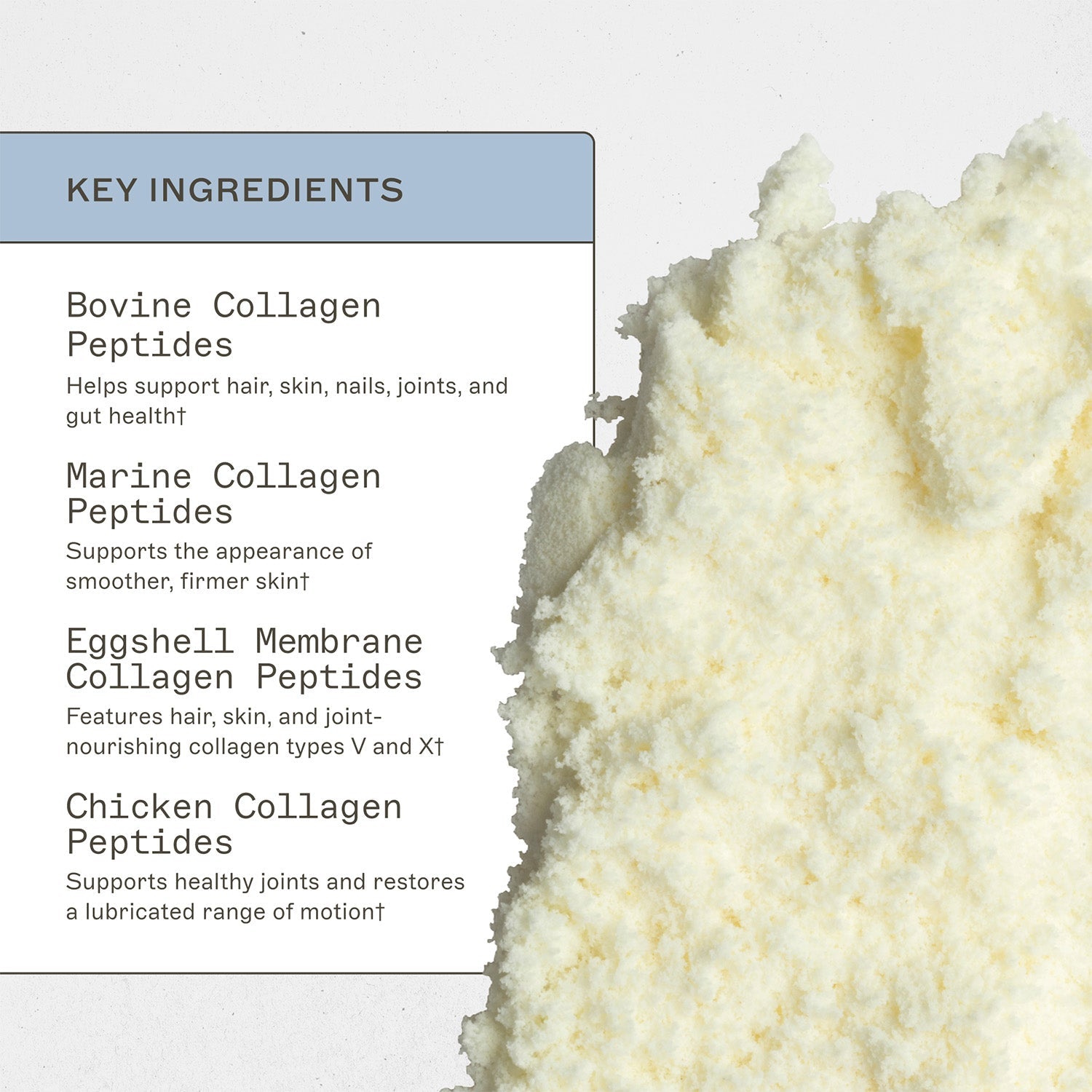 Spectrum 5 Collagen?